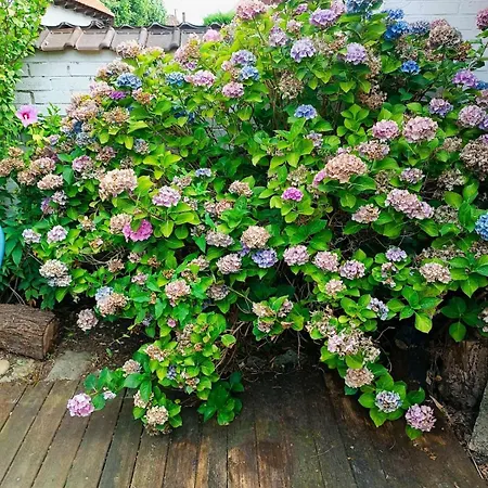 House - Comfortable - Spacious - 15' From Lille Сasa de vacaciones *